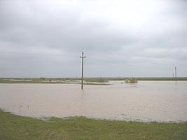 In urma ploilor apele Crisului Alb au iesit din matca - Virtual Arad News (c)2004