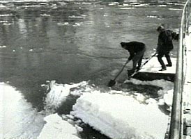 Locuitorii de la Insula Muresului risca sa fie izolati din cauza gheturilor