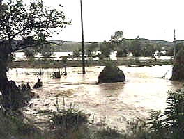 Mai multe sate de pe Valea Muresului au fost afectate de inundatii