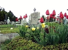 Majoritatea mormintelor au fost impodobite cu flori de Pastele Mortilor