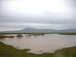 Mari suprafete de teren au fost afectate de inundatii