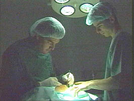 Medicul veterinar Petru Stanut pentru care meseria ii este si hobby