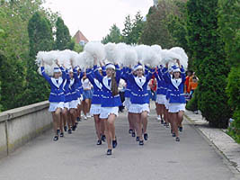 Parada majoretelor i-a incantat pe aradeni de Ziua Europei