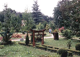 Parcul dendrologic din Macea - locul unde natura isi arata frumusetile - Virtual Arad News (c)2004