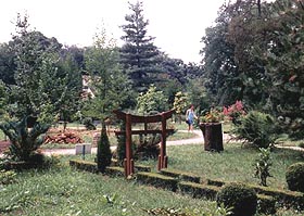 Parcul dendrologic din Macea - locul unde natura isi arata frumusetile - Virtual Arad News (c)2004