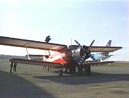 Un avion AN2 a fost nevoit sa aterizeze fortat