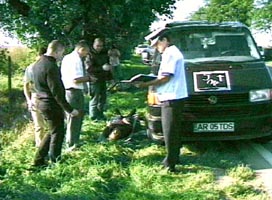 Accident mortal cu un biciclist pe soseaua Arad-Timisoara