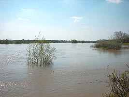 Din cauza ploilor abundente apele Muresului au depasit cotele de atentie - Virtual Arad News (c)2005