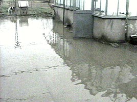Din cauza ploilor cazute in ultimele zile cateva gospodarii din Gai au fost inundate