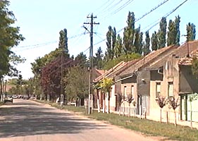 In satul Dorobanti un hot a fost prins de localnici - Virtual Arad News (c)2005