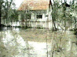 Multe din casele din judet sunt inundate