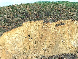 Nemtii sunt interesati de carierele de piatra din judet - Virtual Arad News (c)2005