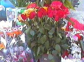 Oferta bogata de flori in pietele din Arad - Virtual Arad News (c)2005