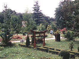 Parcul dendrologic de la Macea va adera la Asociatia Gradinilor Botanice Europene - Virtual Arad News (c)2005
