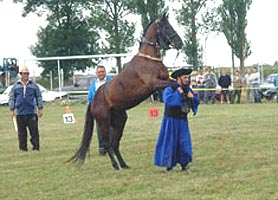 Proba de maiestrie la sarbatoarea de la Zerind