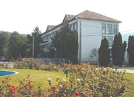 Spitalul din Sebis a fost propus spre privatizare - Virtual Arad News (c)2005