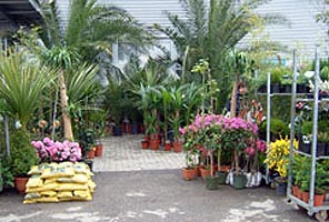Un colt amenajat la targul Gardenia de la Expo Arad