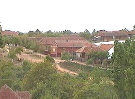 Un tanar din localitatea Draut a fost prins furand la Tarnova - Virtual Arad News (c)2005