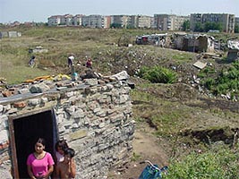 Zona Caramidariei este lasata de izbeliste