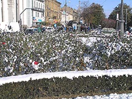 A cazut si la Arad prima zapada de anul acesta