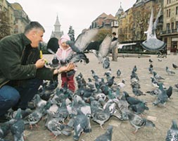 Aradanii si timisorenii doresc sa dispara rivalitatile dintre cele doua orase