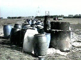 Au aparut noi reglementari de neutralizare a deseurilor de origine animala