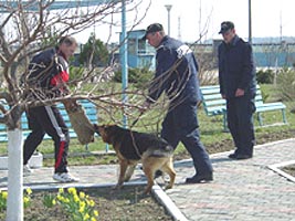 Campionat national de dresaj