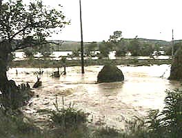 Campuri si gradini au fost afectate din cauza ploilor