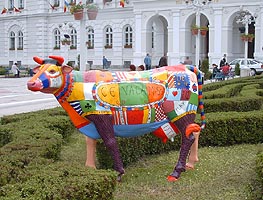 "Cowparade" va avea loc la inceputul lunii aprilie - Virtual Arad News (c)2005