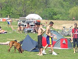 De 1 Mai majoritatea aradenilor merg in padurea Ceala