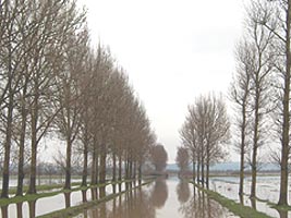 Din cauza inundatiilor la Bulci se poate ajunge doar cu tractorul