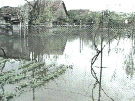 In cateva localitati apa balteste si in gradini