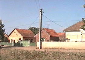 In localitatea Balcescu au fost descoperite cazuri de braconaj - Virtual Arad News (c)2006
