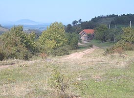 La Vasoaia se fura lemne din paduri - Virtual Arad News (c)2006