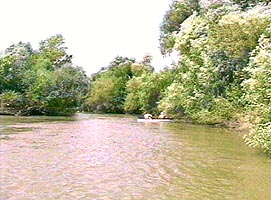 Lunca Muresului a fost declarata sit Ramsar