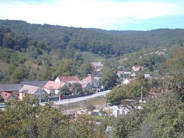 Majoritatea caselor din Soimos sunt scoase la vanzare - Virtual Arad News (c)2006