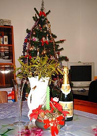 Numerosi aradeni se pregatesc sa isi petreaca Revelionul acasa - Virtual Arad News (c)2006