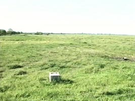 Pe unde va trece autostrada, terenurile de la Zadareni vor creste in valoare