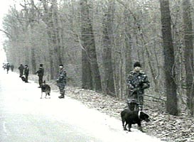 Politia si jandarmii au cautat copilul disparut si in padurea Ceala