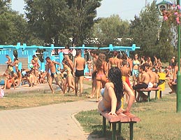 Primaria Arad doreste sa preia Strandul Neptun - Virtual Arad News (c)2006