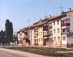Primaria din Zadareni gaseste si avantaje in proiect - Virtual Arad News (c)2006