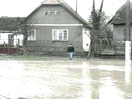 Si comuna Tarnova a fost afectata de inundatii