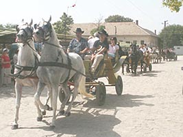 Trei zile de sarbatoare si in orasul Pecica