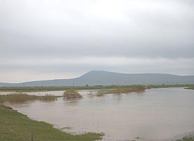 Valea Cigherului a iesit din matca - Virtual Arad News (c)2006