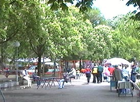 Viceprimarul Dekany nu e multumit de curatenia din Parcul "Eminescu" - Virtual Arad News (c)2006