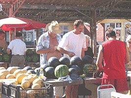 A inceput sezonul pepenilor si lubenitelor