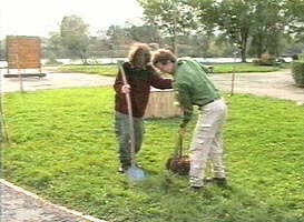 Aradenii au luat exemplul autoritatilor si au sadit pomi in parc