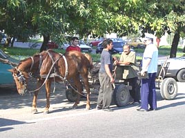 Carutasii sunt luati in vizor de catre politisti