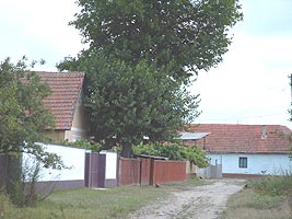 Casele din Bodrogul Vechi sunt amenintate de apele Muresului - Virtual Arad News (c)2007