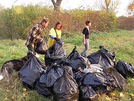 Elevii se implica si in actiunea de adunat gunoaie